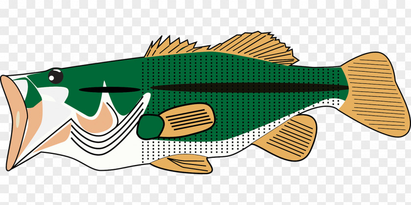 Mouth Fish Bass Guitar Pixabay Illustration PNG