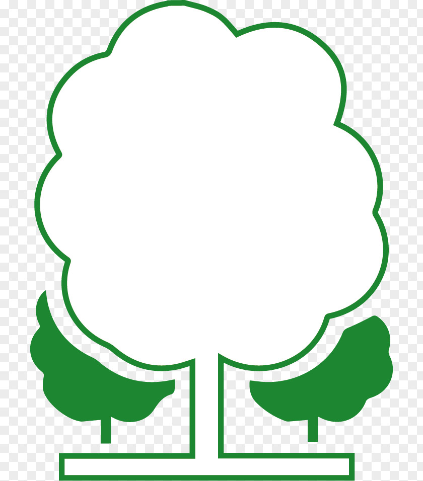 Overlooking Ginkgo Tree Leaf Human Behavior Plant Stem White Clip Art PNG