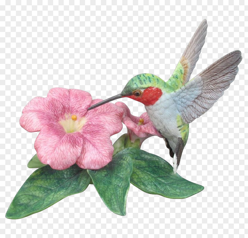 Bird Rivoli's Hummingbird Beak Figurine PNG