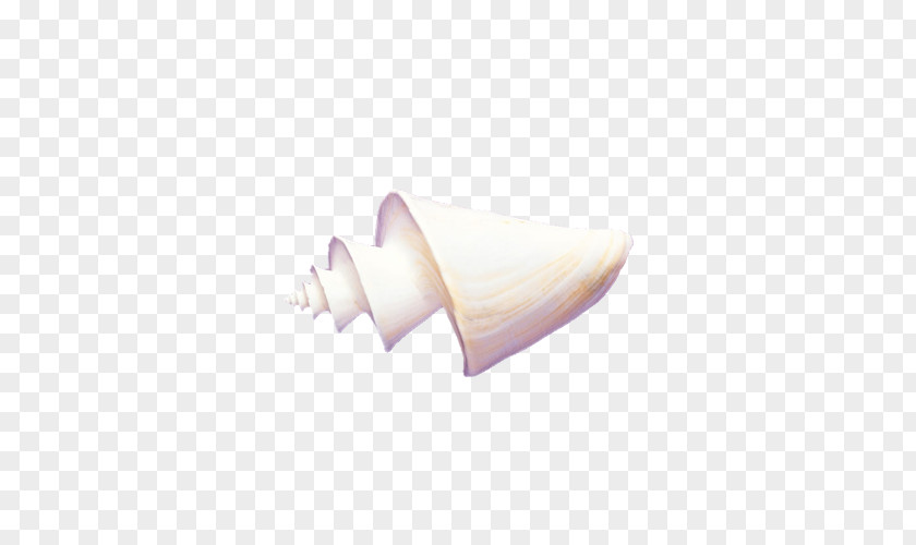Conch Seafood PNG