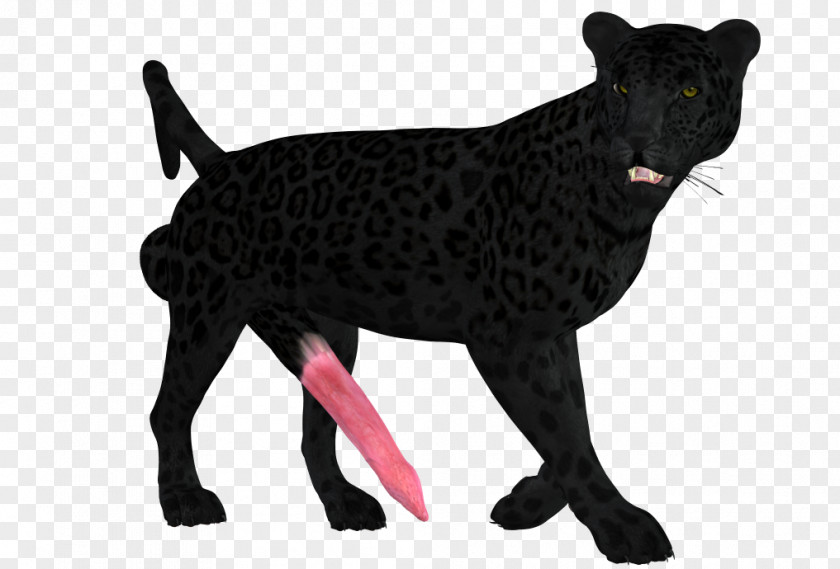 Dog Breed Big Cat Snout PNG