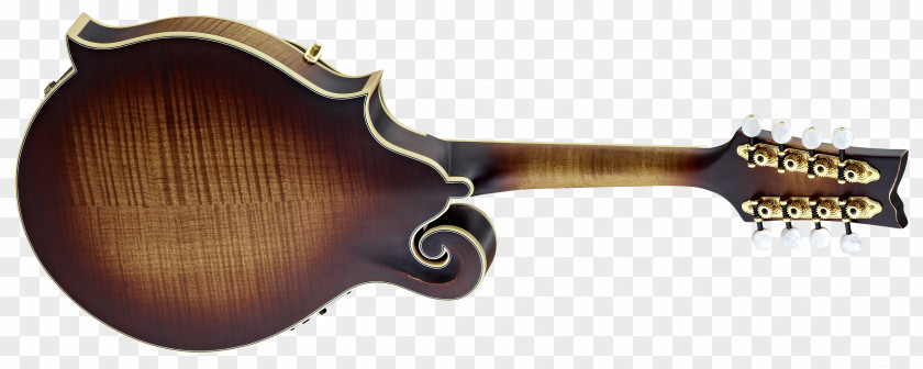 Guitar Acoustic-electric Mandolin Violin PNG