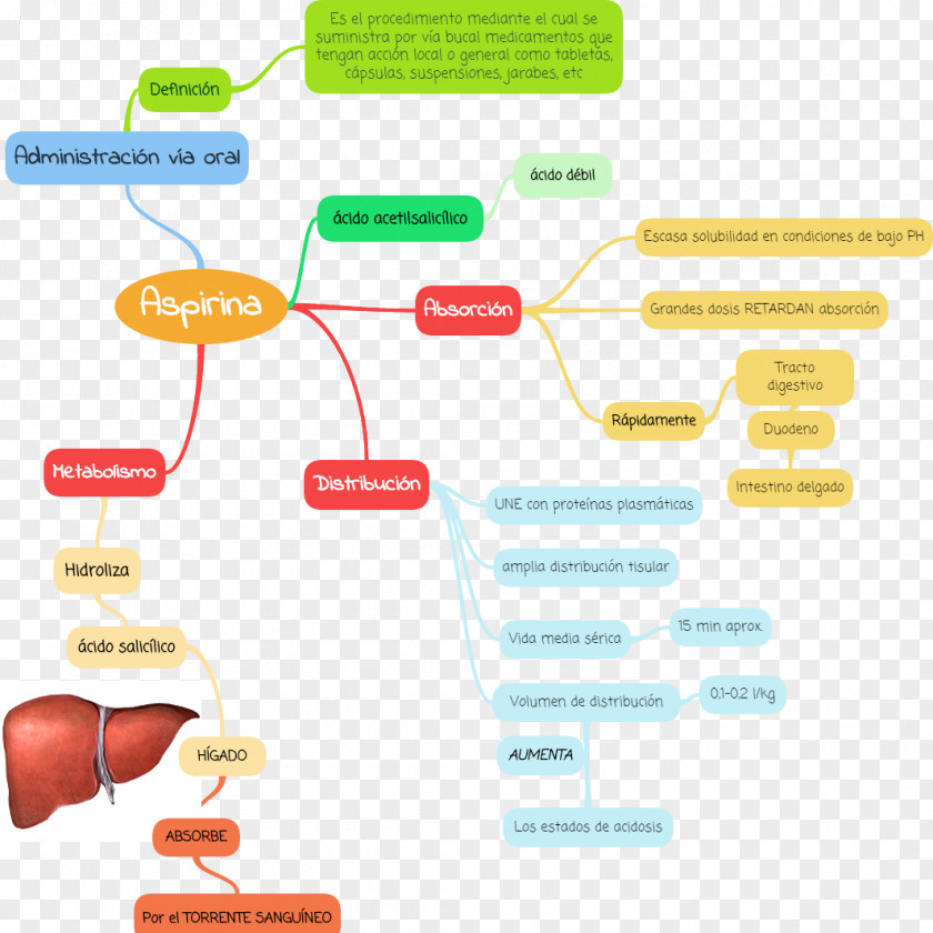 Map Concept Pharmacology Pharmacokinetics Diagram PNG