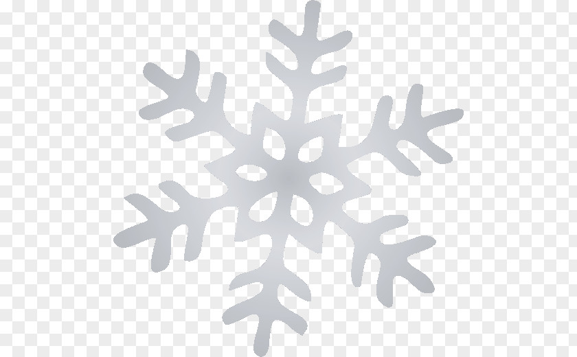 Snowflake Schema Clip Art PNG