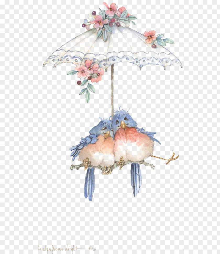Umbrella Lovebird Drawing Clip Art PNG