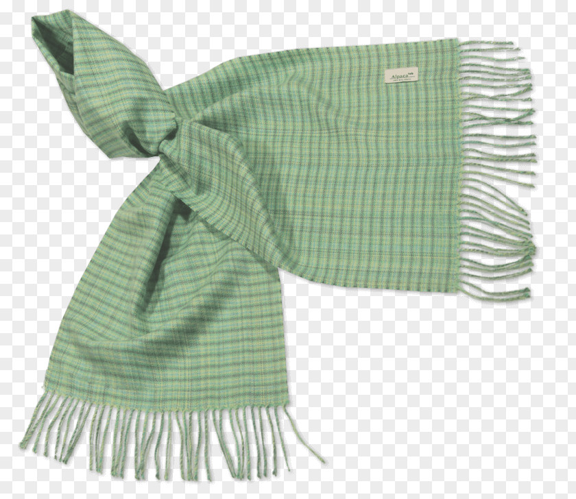 With Scarves Baby Textile Green Tartan PNG