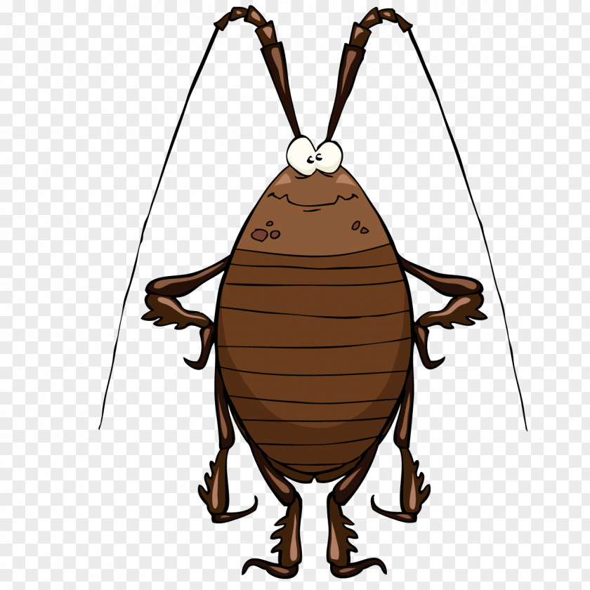 Cartoon Cockroach Clip Art PNG