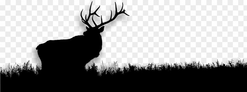 Deer Desktop Wallpaper Antler Computer Silhouette PNG