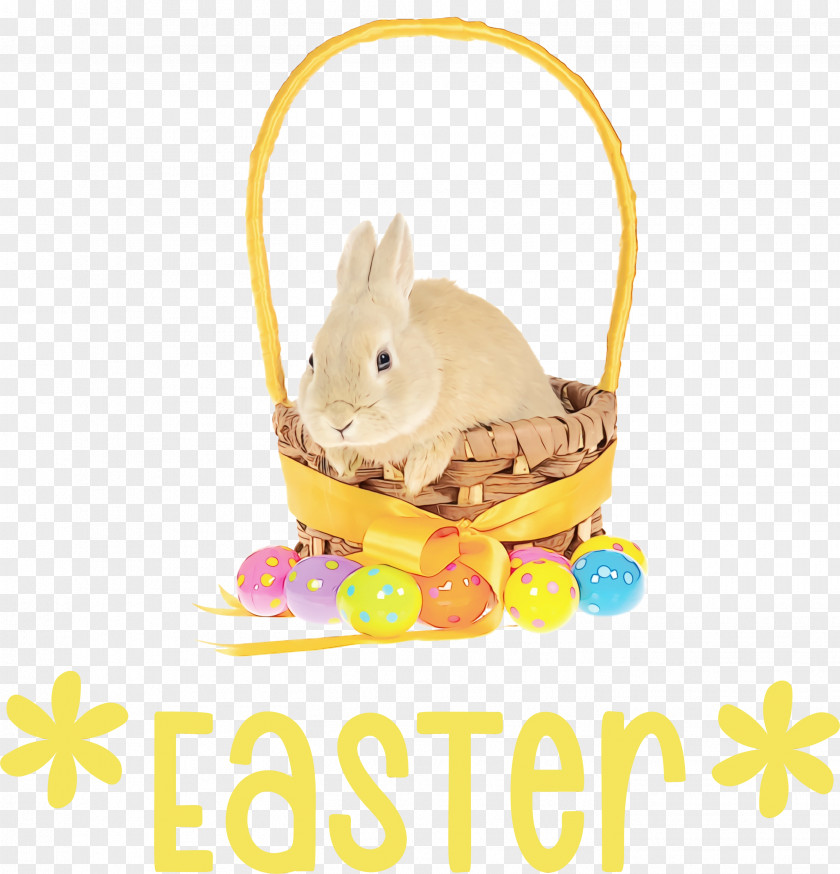 Easter Bunny PNG