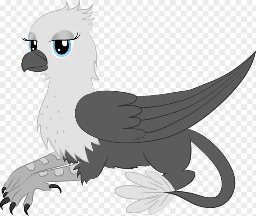 Griffin Owl Rainbow Dash Drawing PNG