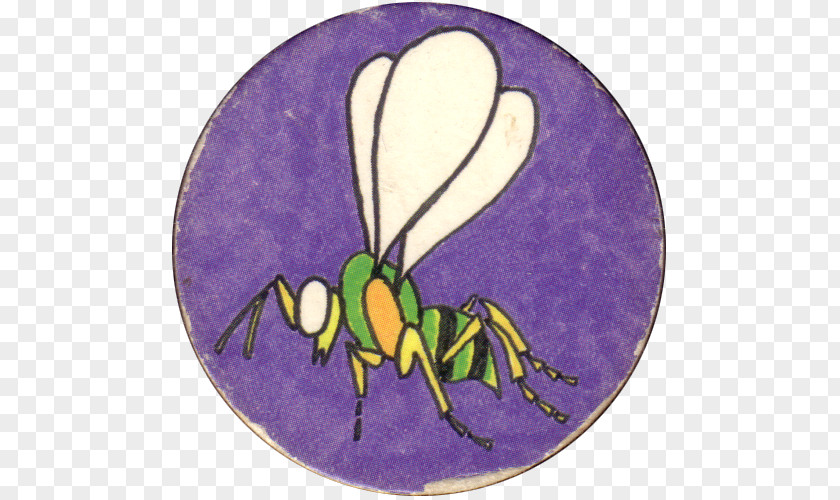 Insect Animated Cartoon PNG