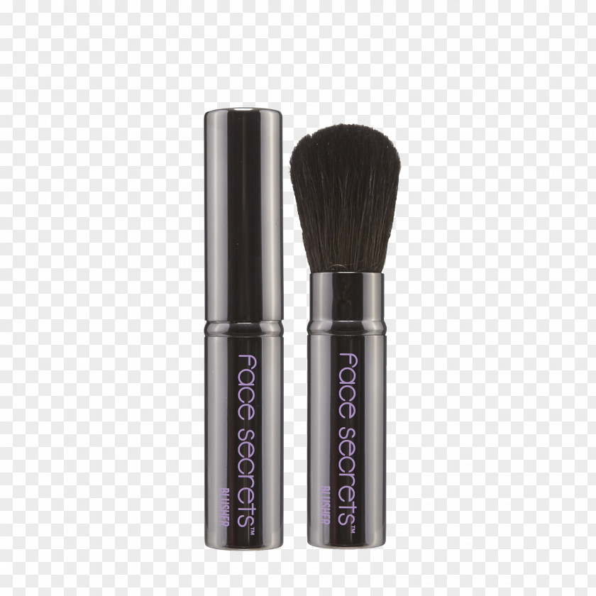 Makeup Brush Cosmetics Rouge Face Powder PNG
