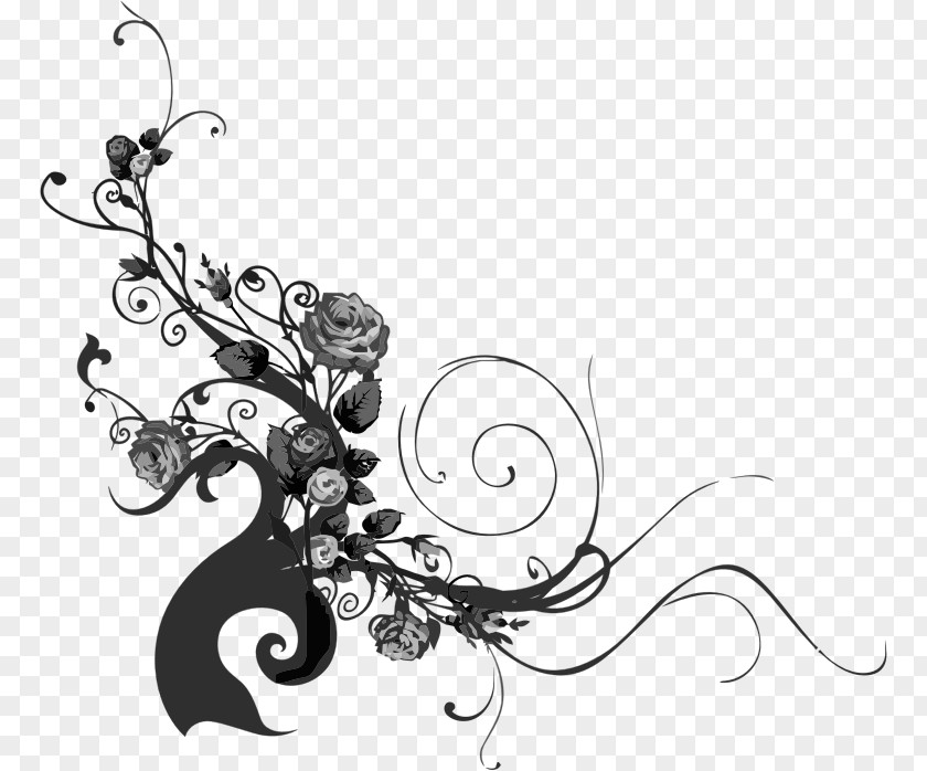 Rose Flourish Photography Clip Art PNG