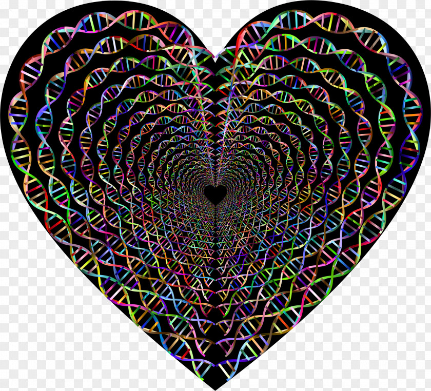 Tunnel DNA Heart Nucleic Acid Sequence Biologist Double Helix PNG