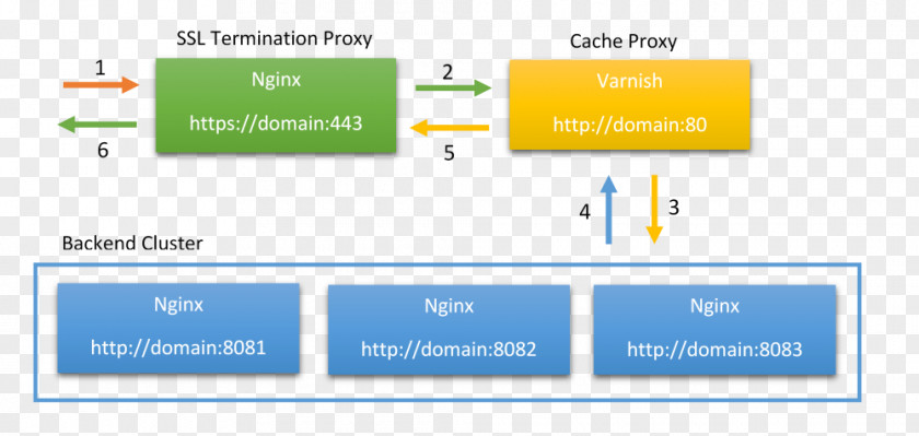 Varnish Nginx TLS Termination Proxy Transport Layer Security HTTPS PNG