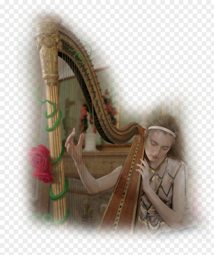 Violin Celtic Harp Musician Musical Instruments PNG