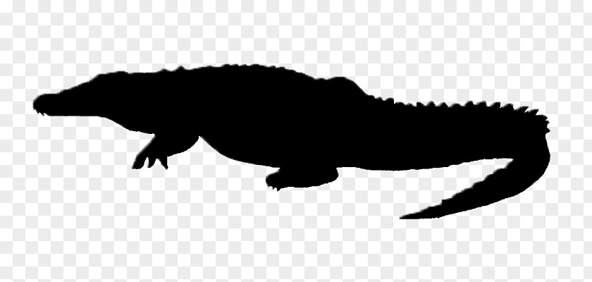 Crocodile Alligator Silhouette Tyrannosaurus Clip Art PNG