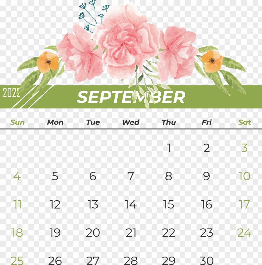 Flower Futsal Font Calendar Petal PNG