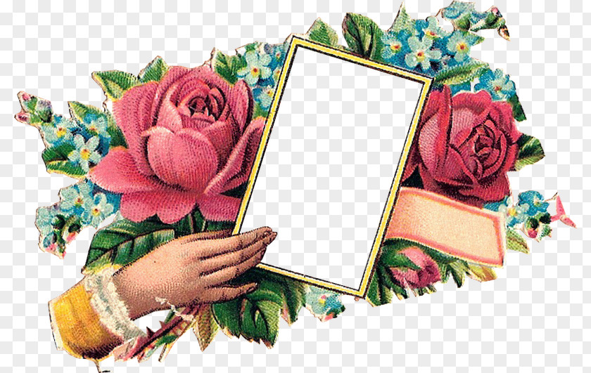 Flower Garden Roses Bokmärke Gift Clip Art PNG