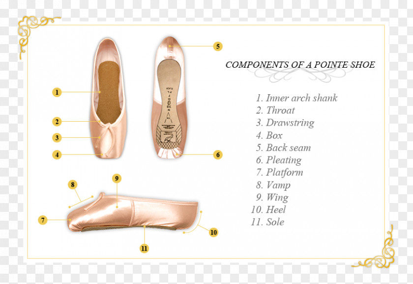 Nail Product Design Shoe Brand PNG
