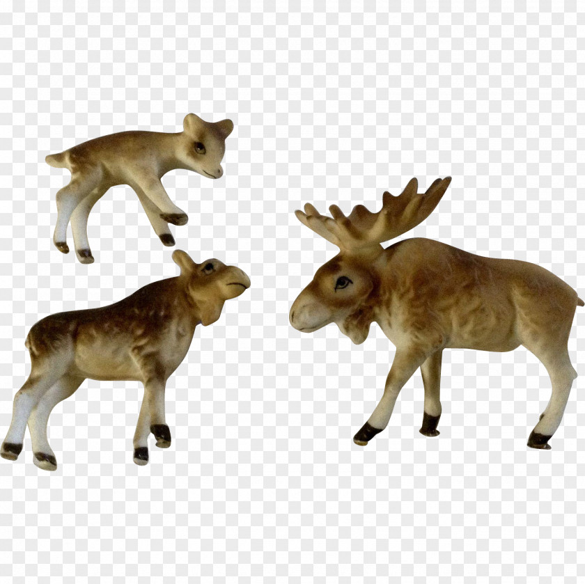 Reindeer Bone China Animal Cattle Moose PNG