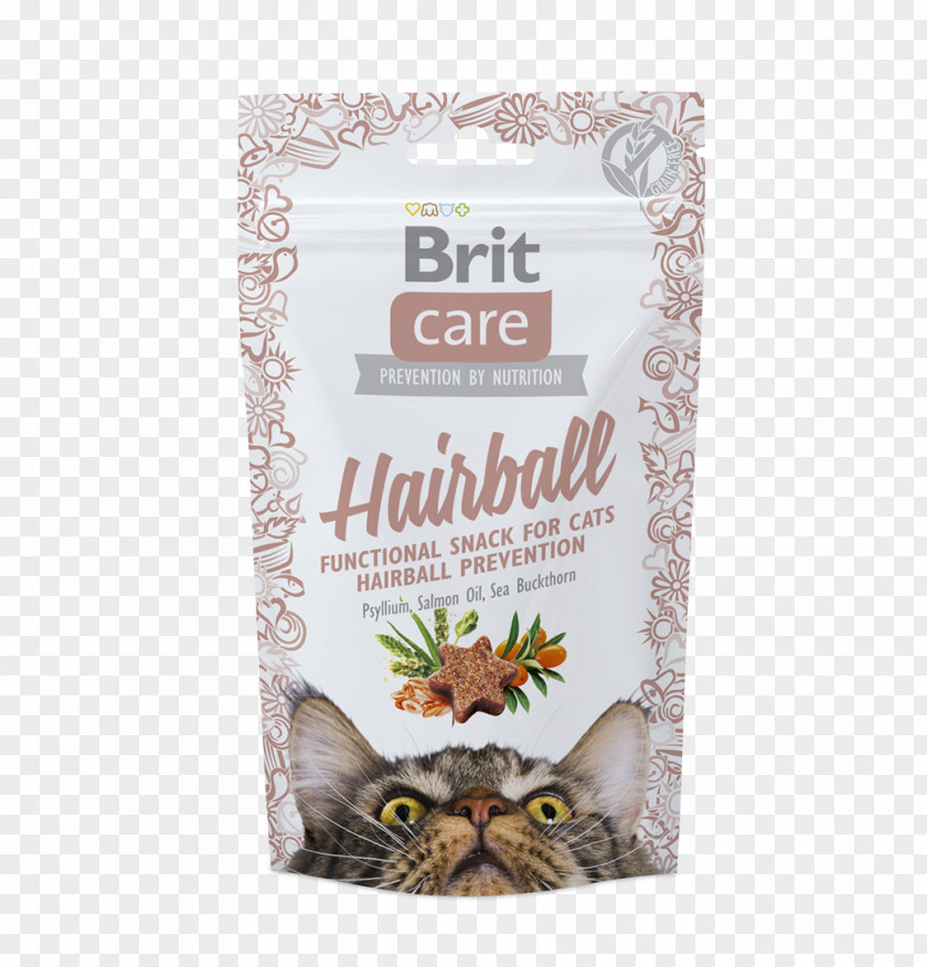 Salmon Fillet Cat Food Hairball Raw Feeding Fodder PNG