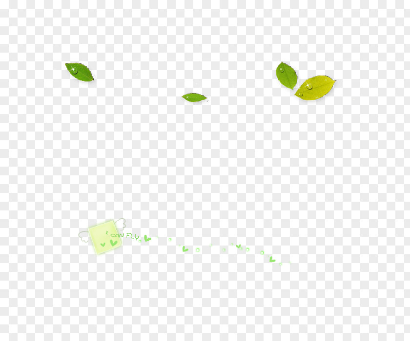 Leaf Green Desktop Wallpaper PNG