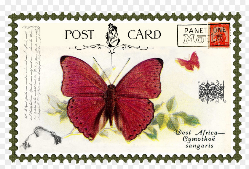 Butterfly Brush-footed Butterflies Postage Stamps Mail PNG