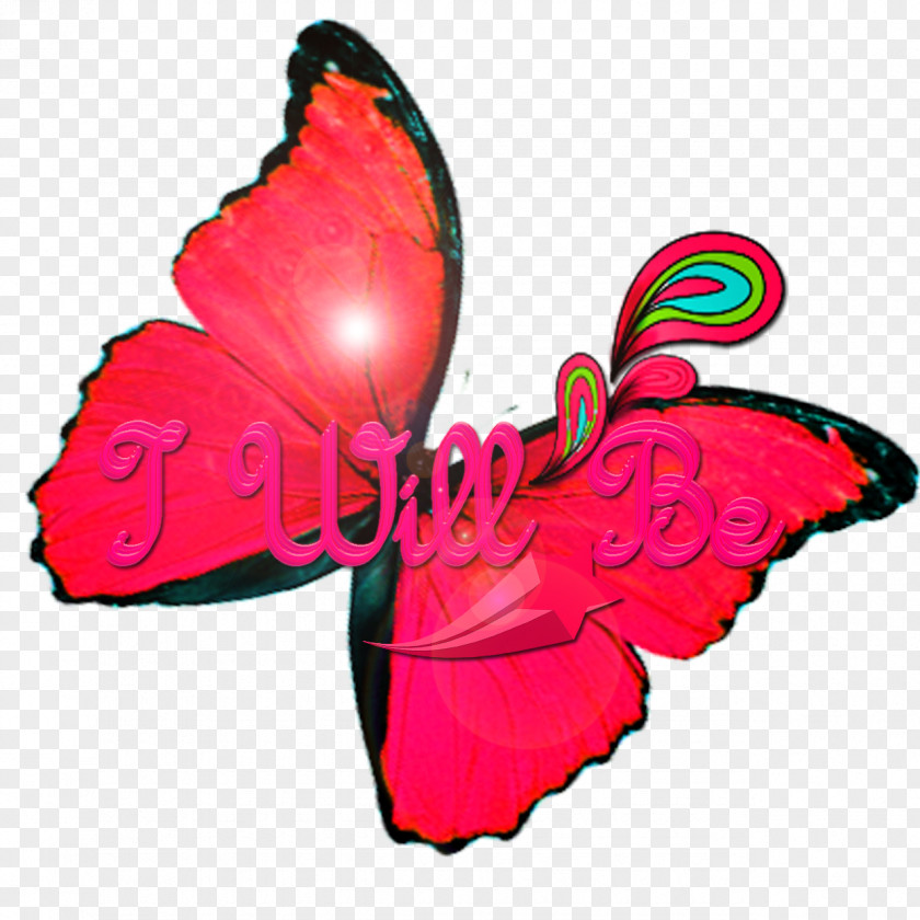 Butterfly Monarch Pink M Blue Clip Art PNG