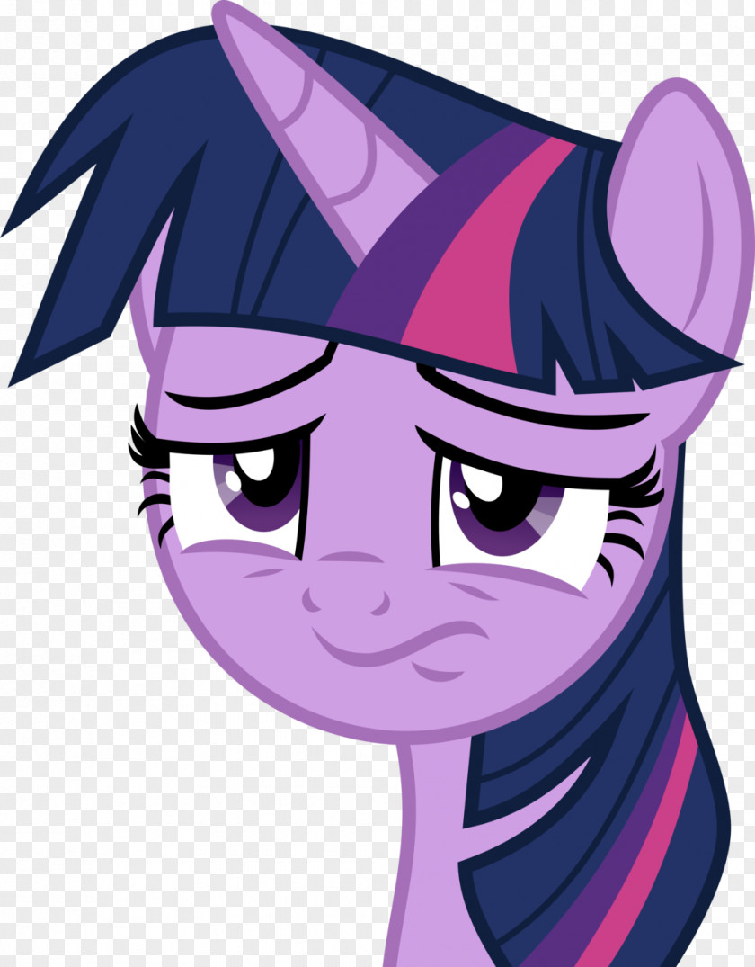 Twilight Sparkle Rainbow Dash Pony Rarity Pinkie Pie PNG