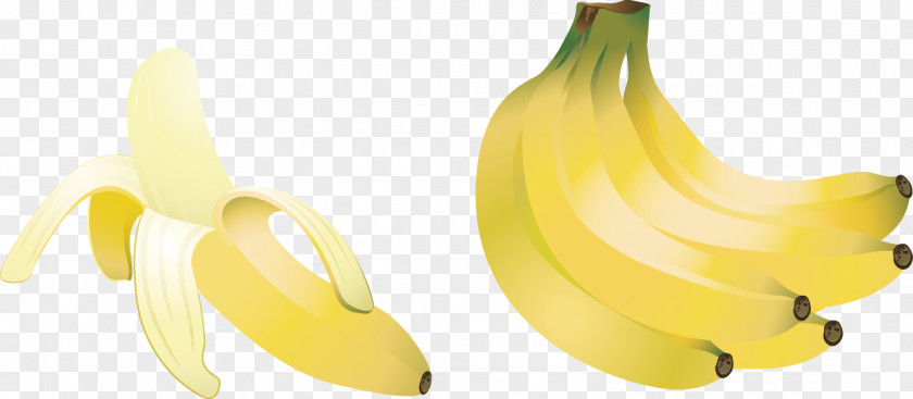 Banana Berry Food Illustration PNG
