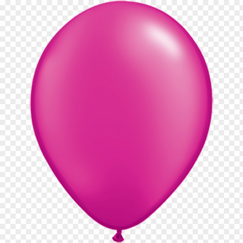 Entertainer Toy Balloon Party Birthday Ballondrukkerij.nl PNG