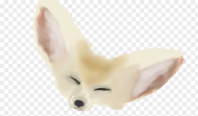 Fennec Fox Dog Ear Fur Snout PNG