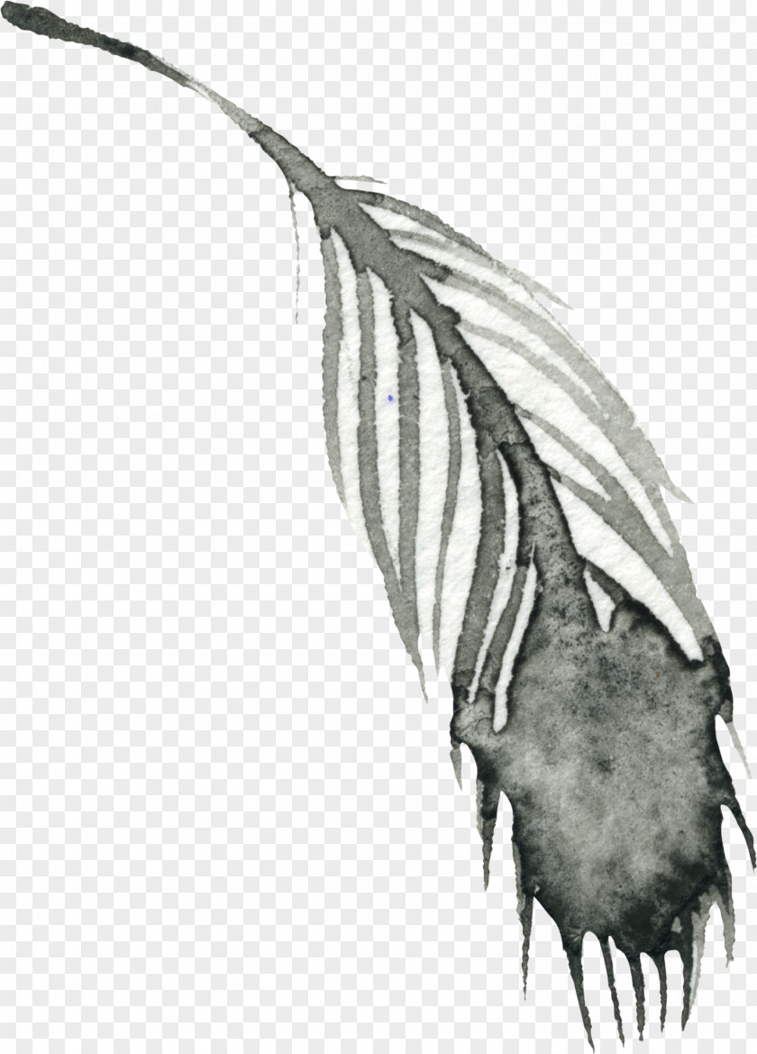 Hand-painted Feathers Watercolor Painting PNG