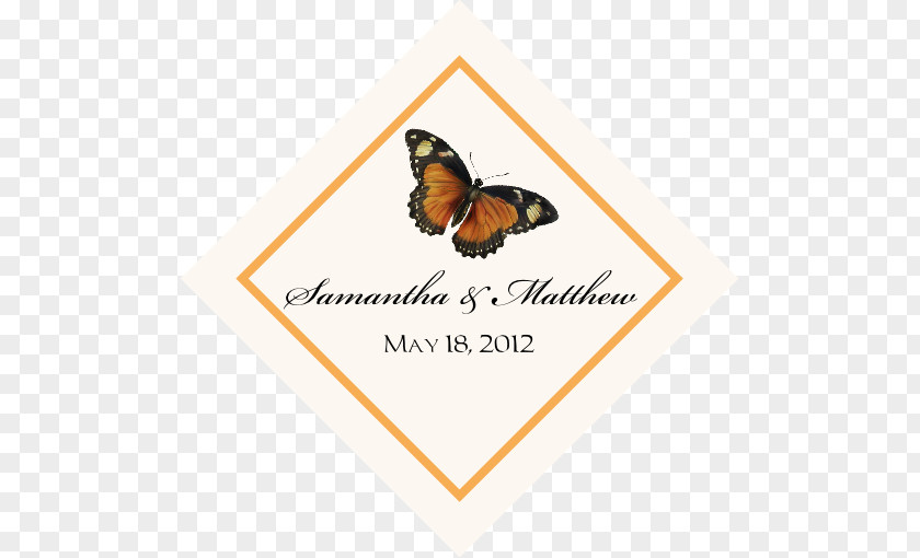 Butterfly Monarch Wedding Invitation Gift PNG