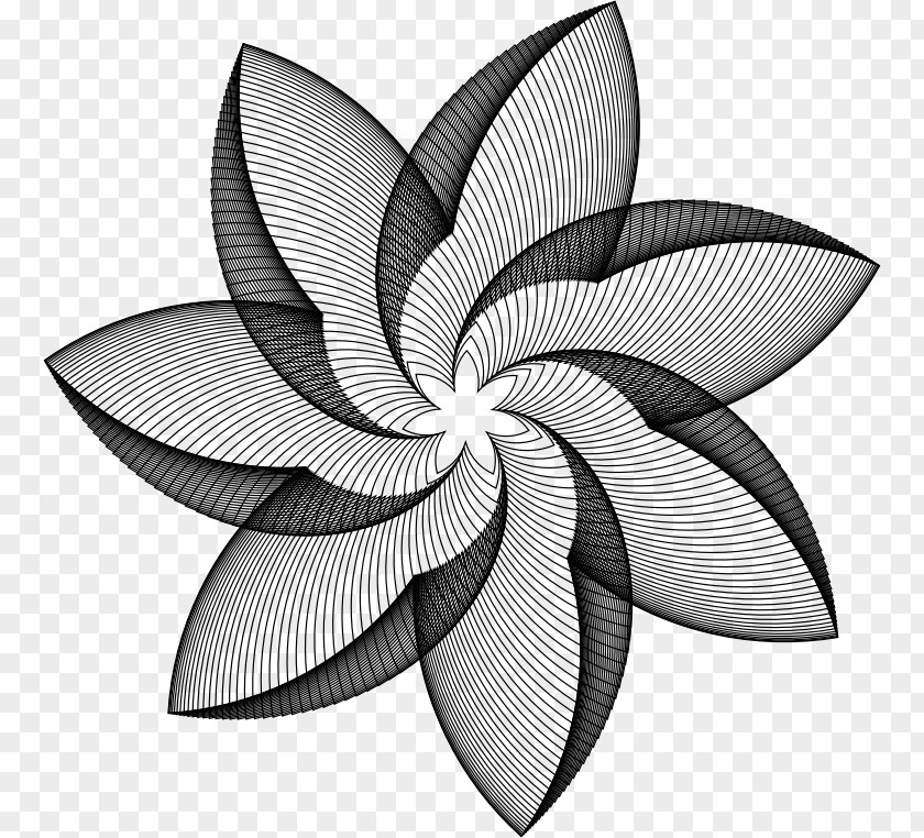 Flower Line Geometry Art PNG