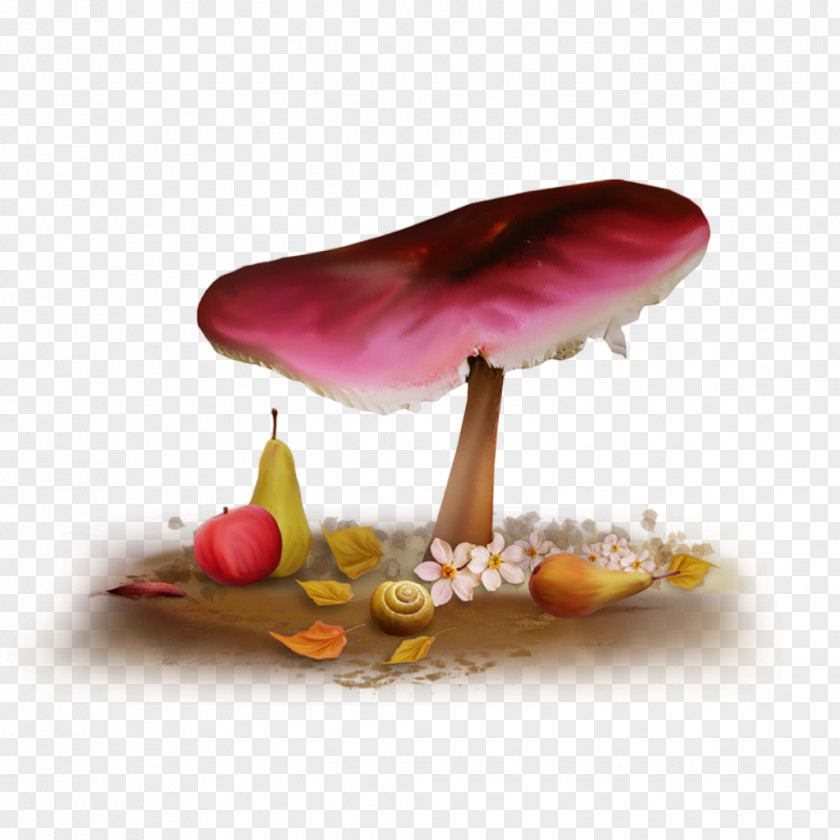 Forest Mushroom Night Blog Sky Wallpaper PNG