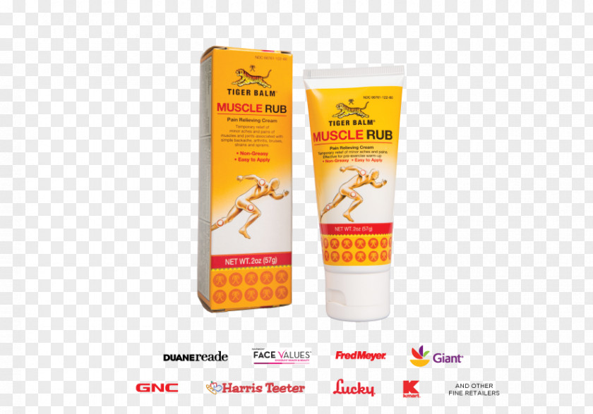 Muscular System Sunscreen Lotion Tiger Pain In Spine Cream PNG