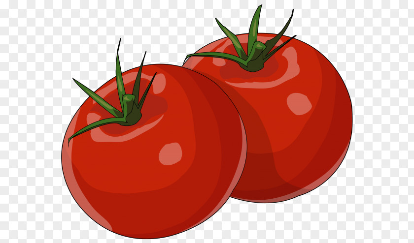 Pizza Plum Tomato Bush Drawing Food PNG