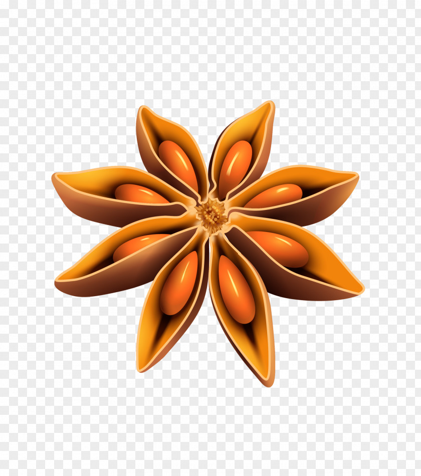 Simple Coffee Star Anise Belarusians Ornament Art PNG