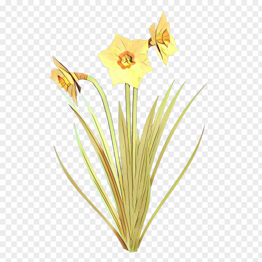 Wildflower Daylily Lily Flower Cartoon PNG