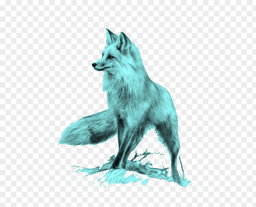 Blue Fox Red Drawing Cat PNG