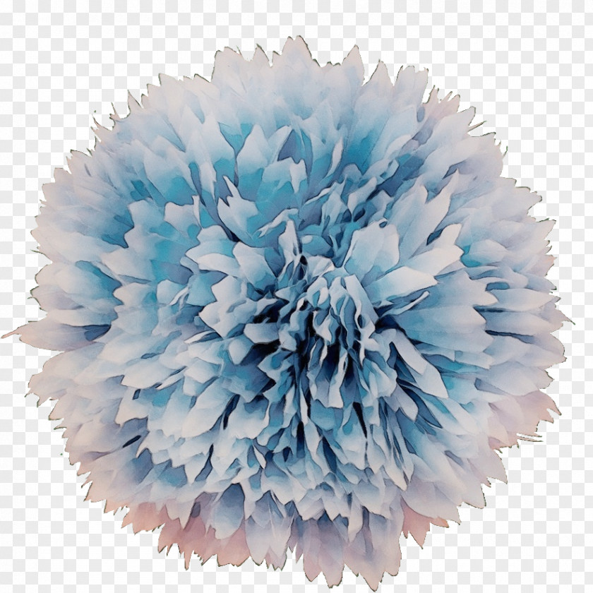 Cut Flowers Pom-pom Flower PNG