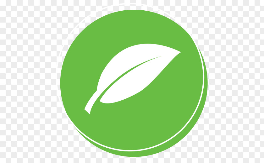 Logo Font Brand Product Leaf PNG