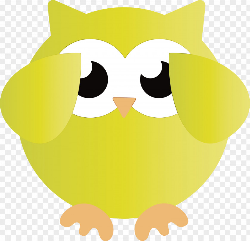 Beak Birds Cartoon Bird Of Prey Owl M PNG