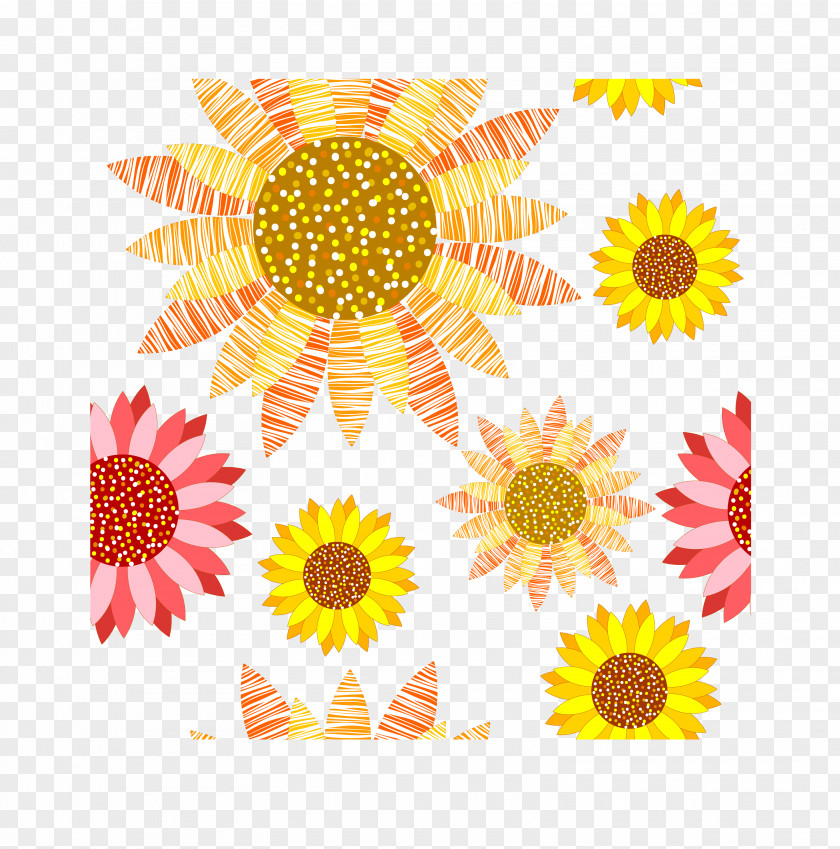 Colorful Sunflower Common Painting Sunflowers PNG