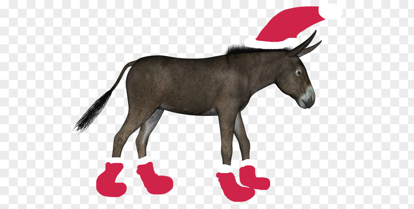 Donkey Mule Clip Art Horse PNG