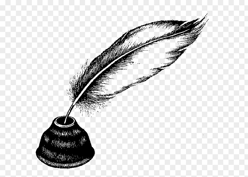 Fashion Accessory Office Instrument Feather PNG