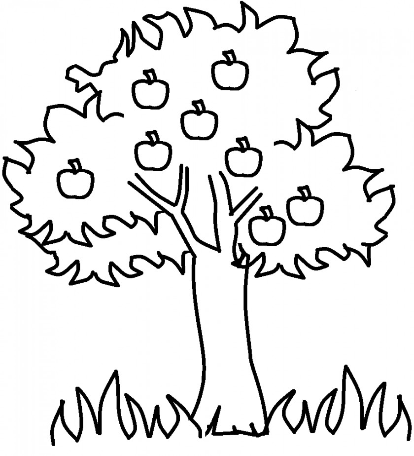 Summer Tree Cliparts Apple Drawing Clip Art PNG