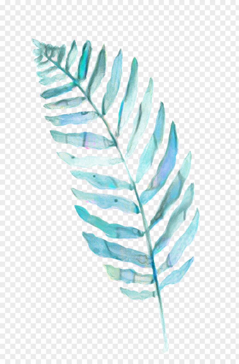 Writing Implement Natural Material Green Leaf Watercolor PNG